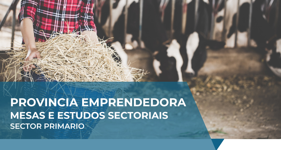 IMPULSA CORUÑA | SECTOR TIC E AUDIOVISUAL